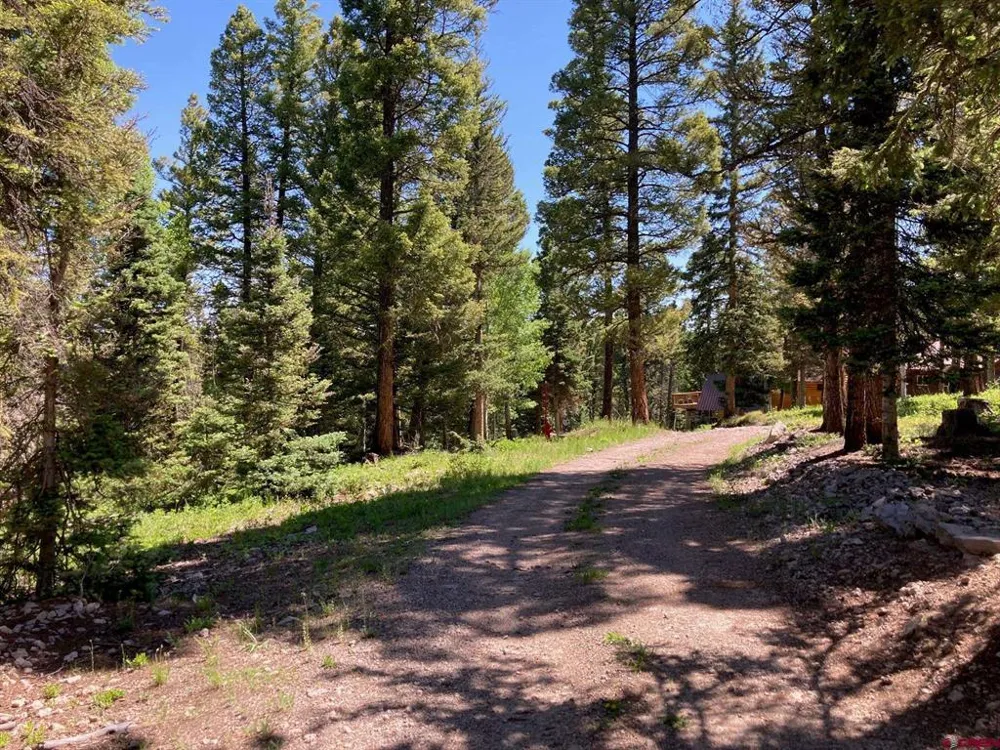 147 Ridge Road Cimarron, CO 81220