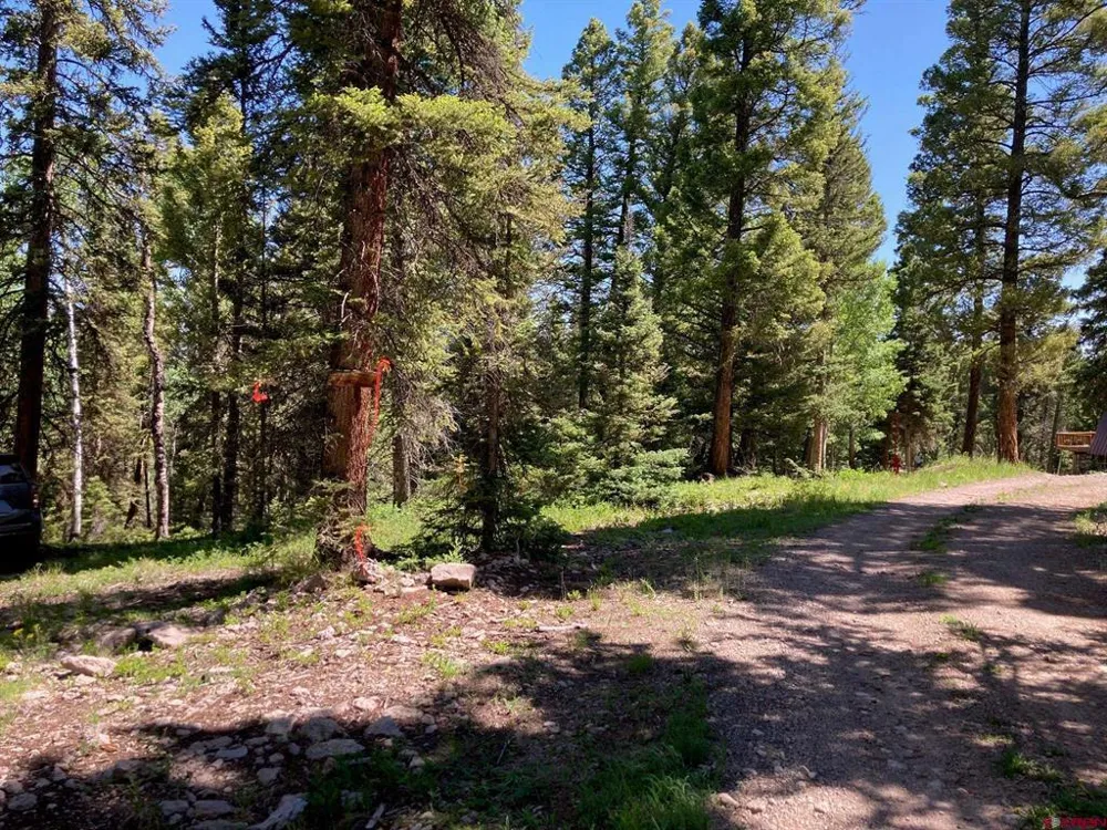 147 Ridge Road Cimarron, CO 81220