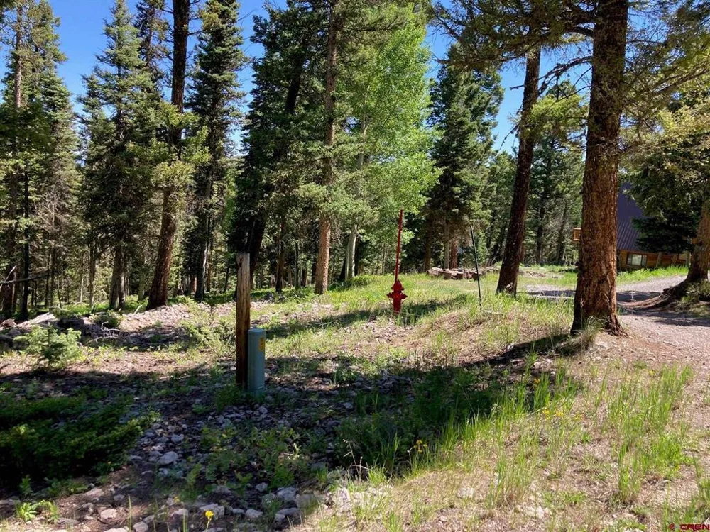 147 Ridge Road Cimarron, CO 81220
