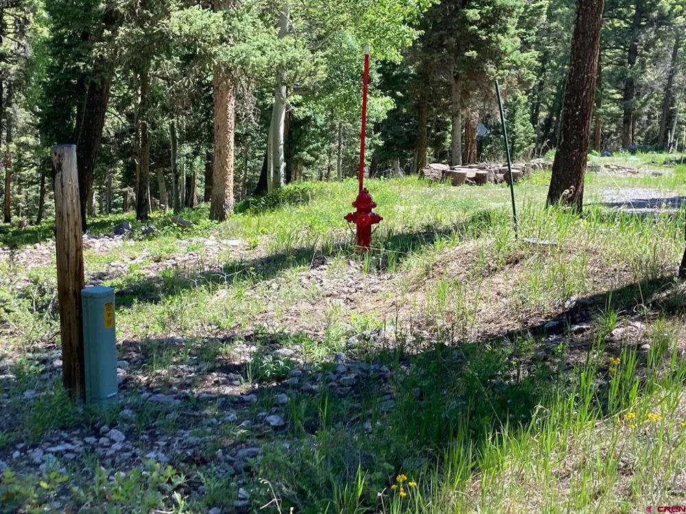 147 Ridge Road Cimarron, CO 81220