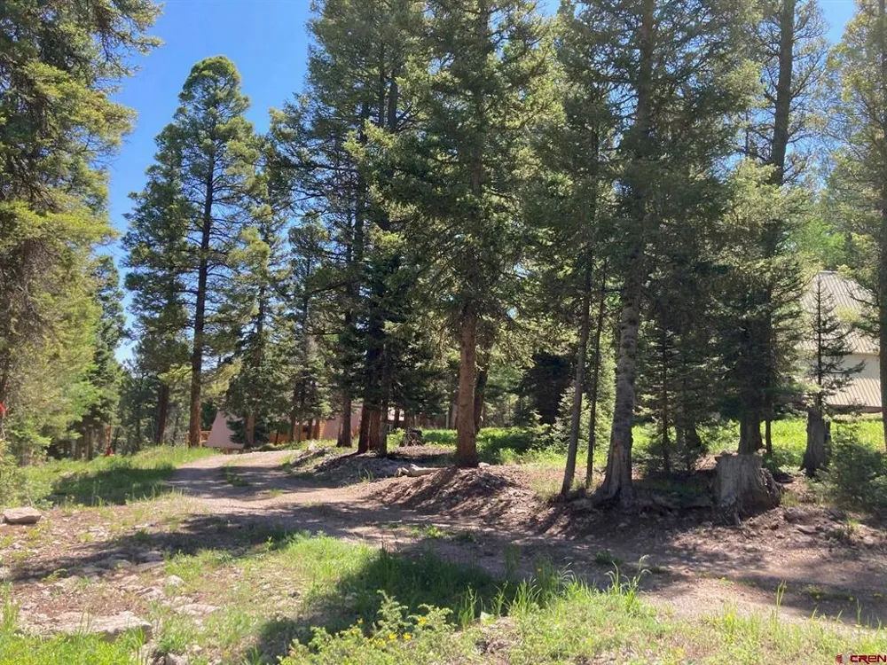 147 Ridge Road Cimarron, CO 81220