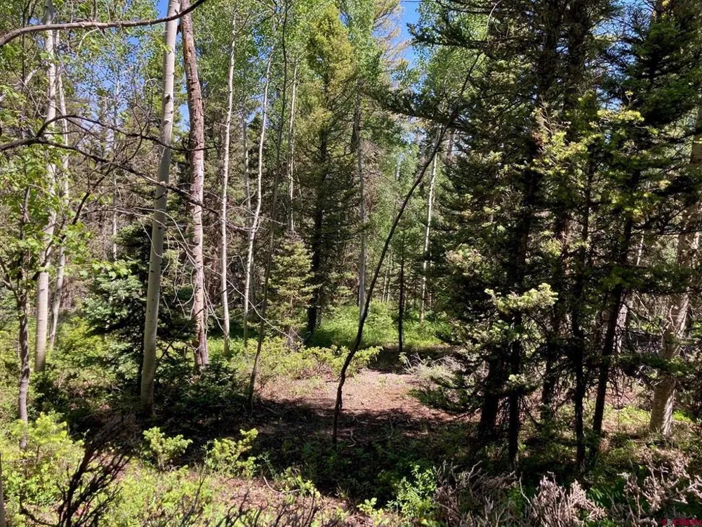 147 Ridge Road Cimarron, CO 81220