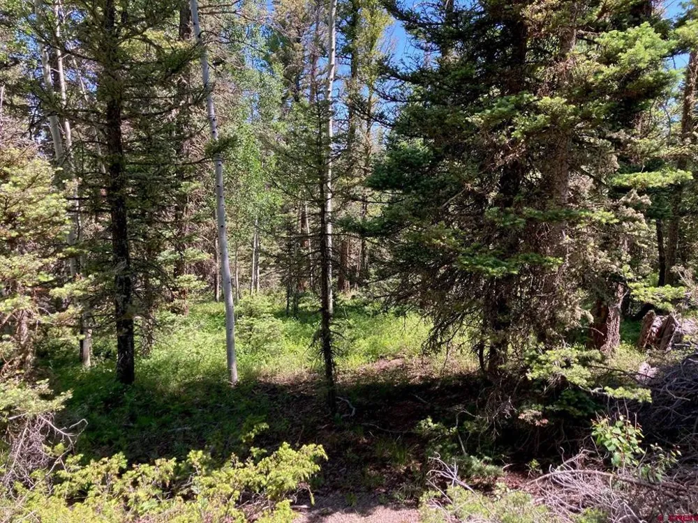 147 Ridge Road Cimarron, CO 81220