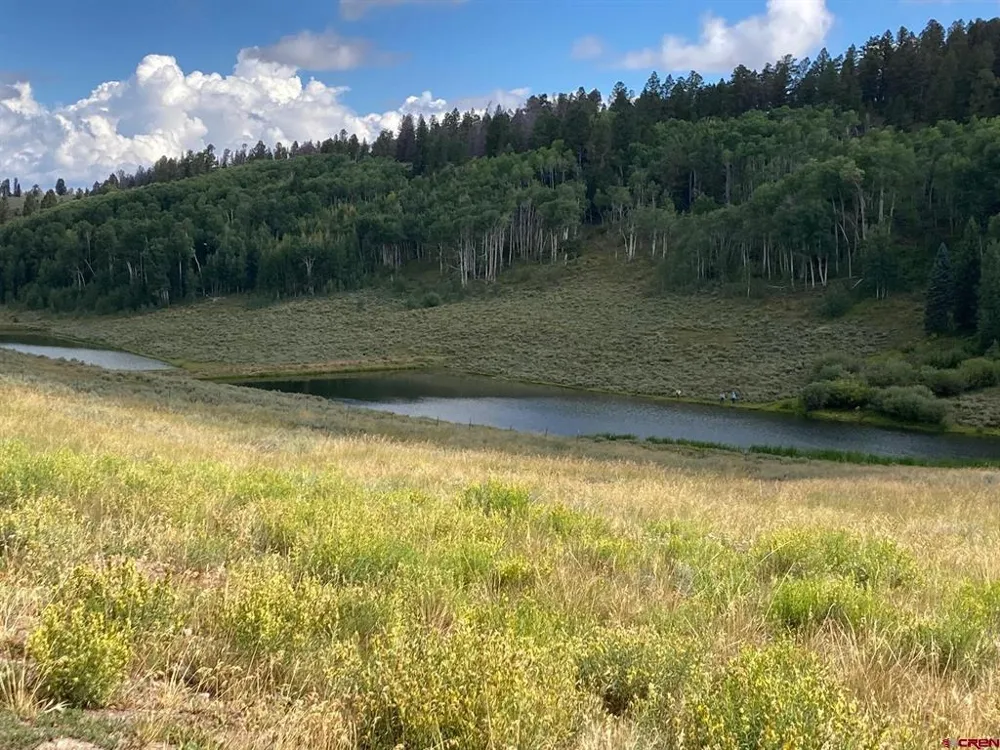 147 Ridge Road Cimarron, CO 81220