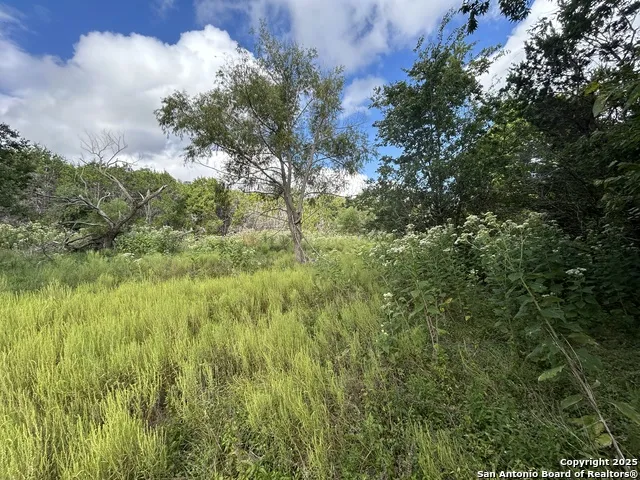 135 Marshall Kerrville, TX 78028
