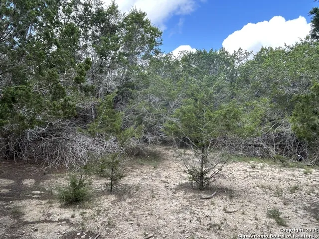 135 Marshall Kerrville, TX 78028