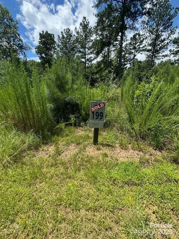 2169 Windom Peak Summit #199 Connelly Springs, NC 28612