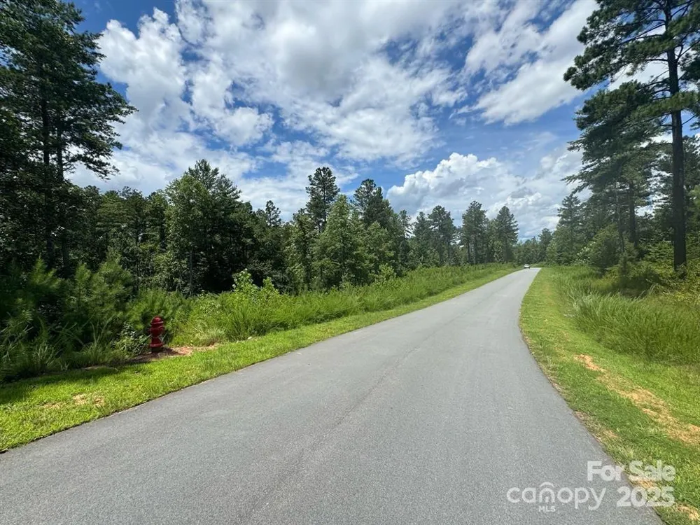 2169 Windom Peak Summit #199 Connelly Springs, NC 28612