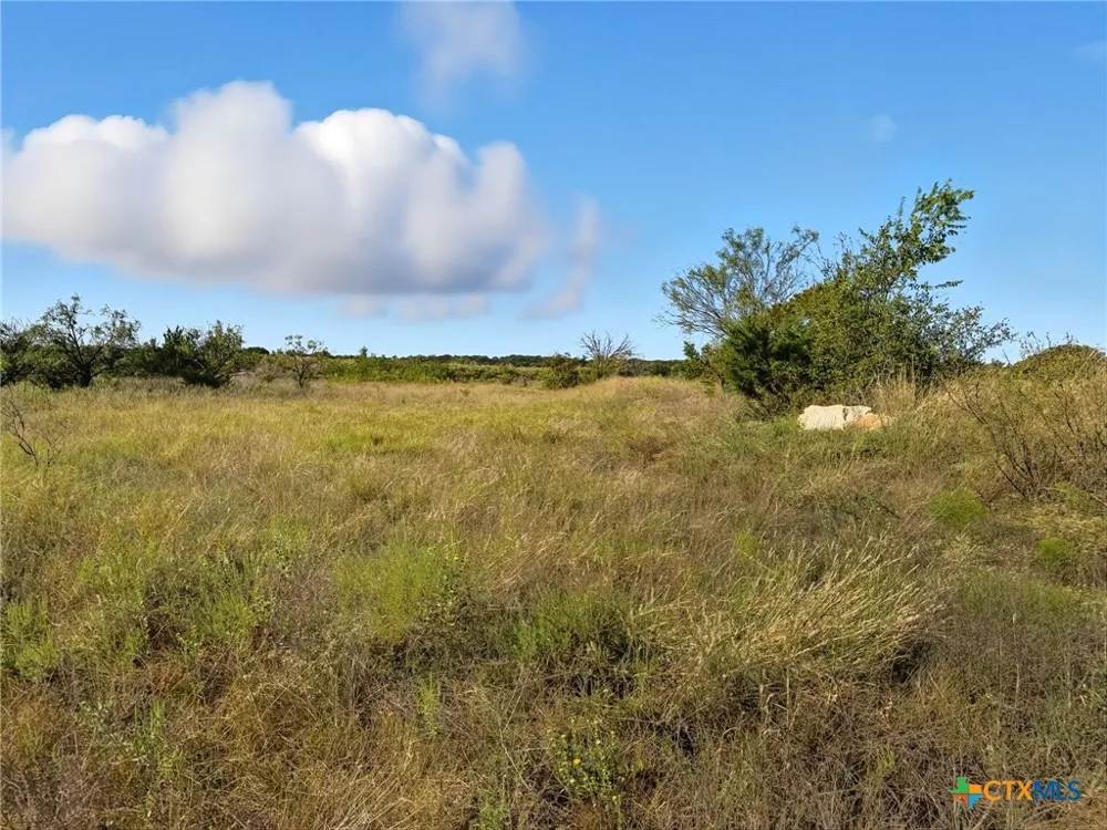 Farm Road 221 Hamilton, TX 76565