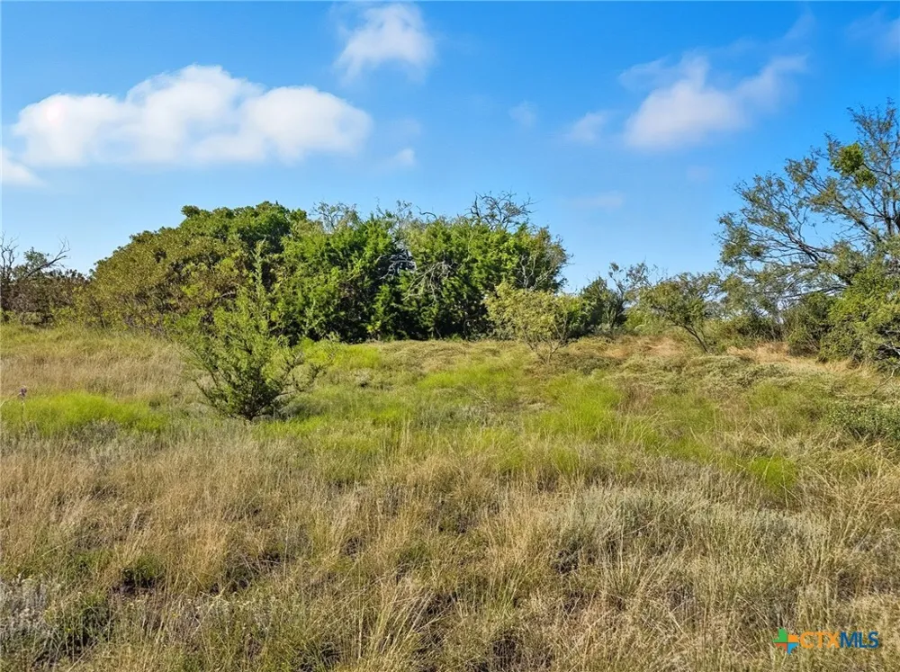 Farm Road 221 Hamilton, TX 76565