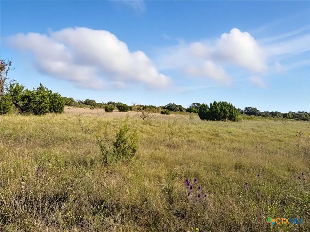 Farm Road 221 Hamilton, TX 76565