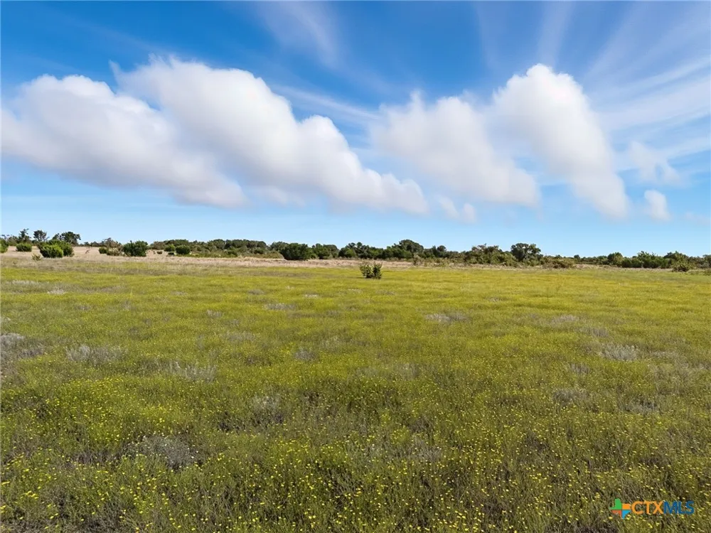 Farm Road 221 Hamilton, TX 76565