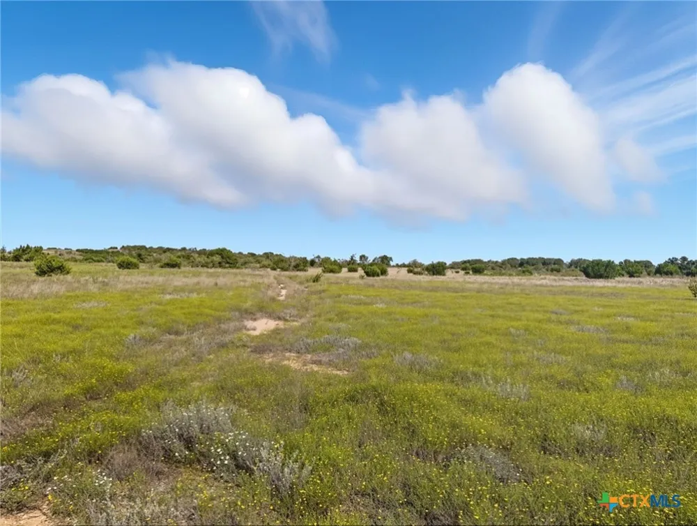 Farm Road 221 Hamilton, TX 76565