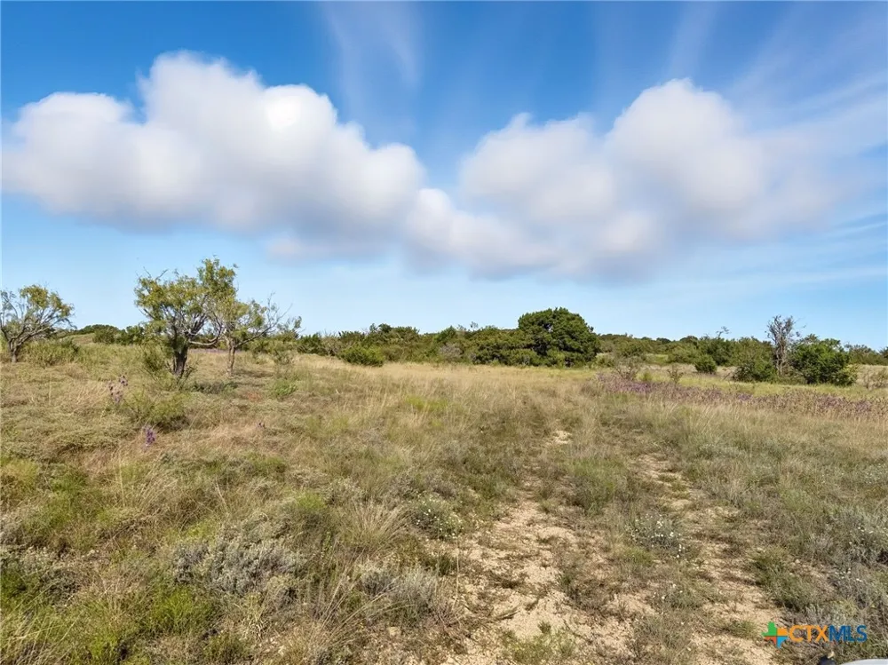 Farm Road 221 Hamilton, TX 76565