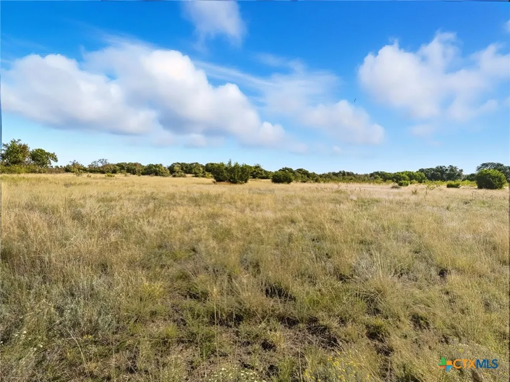 Farm Road 221 Hamilton, TX 76565