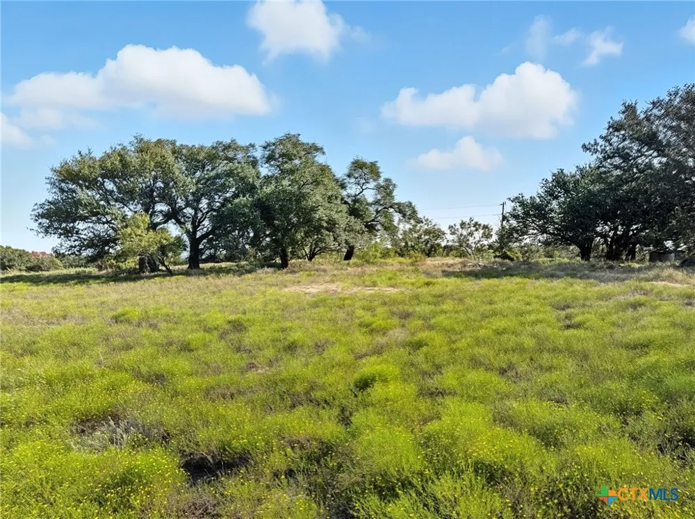 Farm Road 221 Hamilton, TX 76565