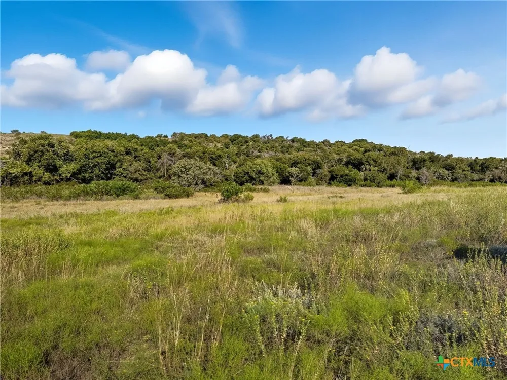 Farm Road 221 Hamilton, TX 76565