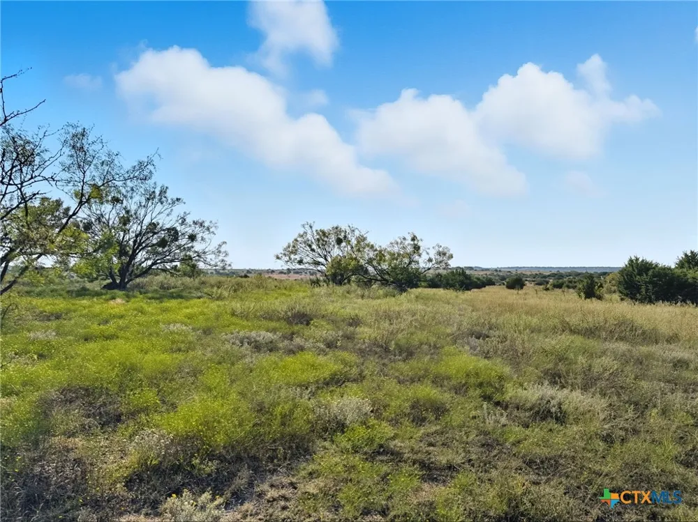 Farm Road 221 Hamilton, TX 76565