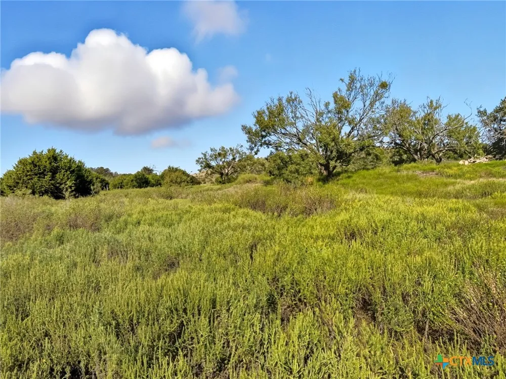 Farm Road 221 Hamilton, TX 76565