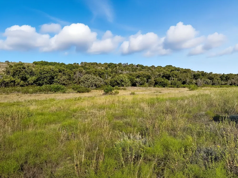 FM 221 Pottsville, TX 76565