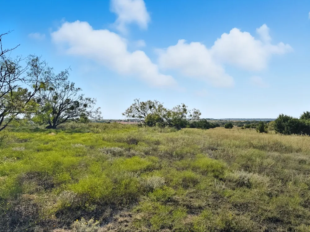 FM 221 Pottsville, TX 76565