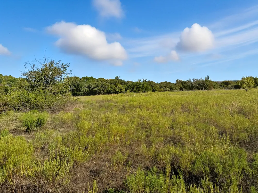 FM 221 Pottsville, TX 76565
