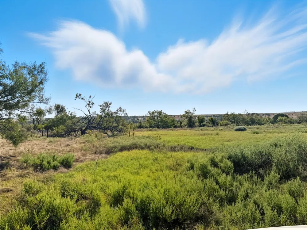 FM 221 Pottsville, TX 76565