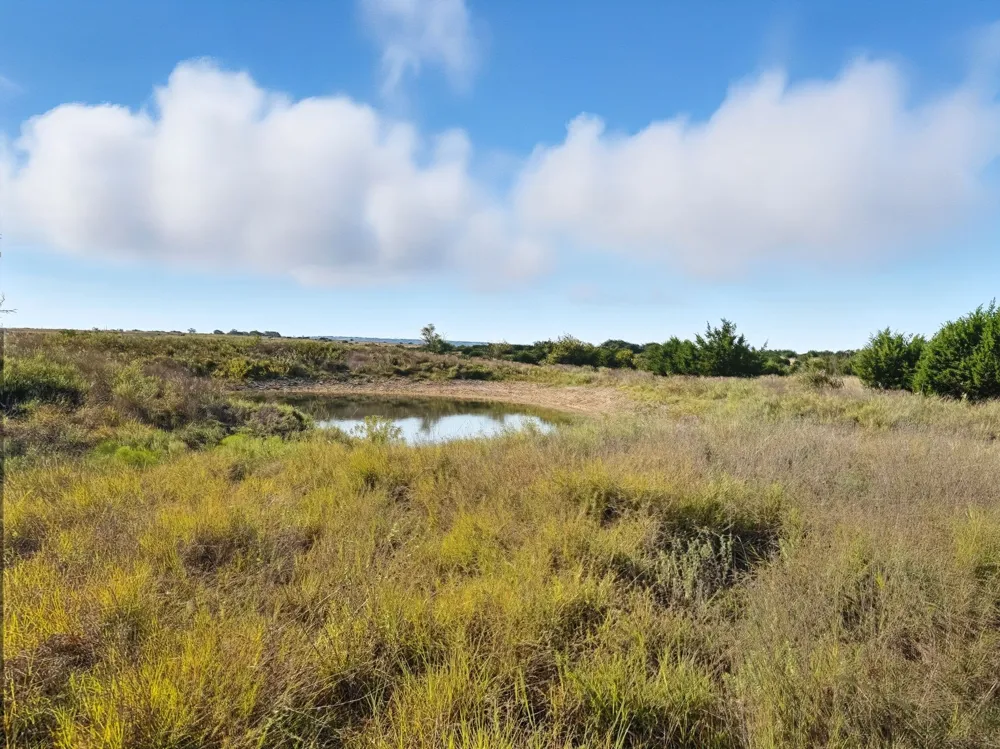 FM 221 Pottsville, TX 76565
