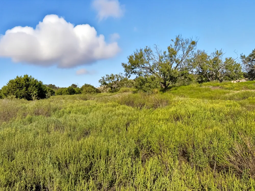 FM 221 Pottsville, TX 76565