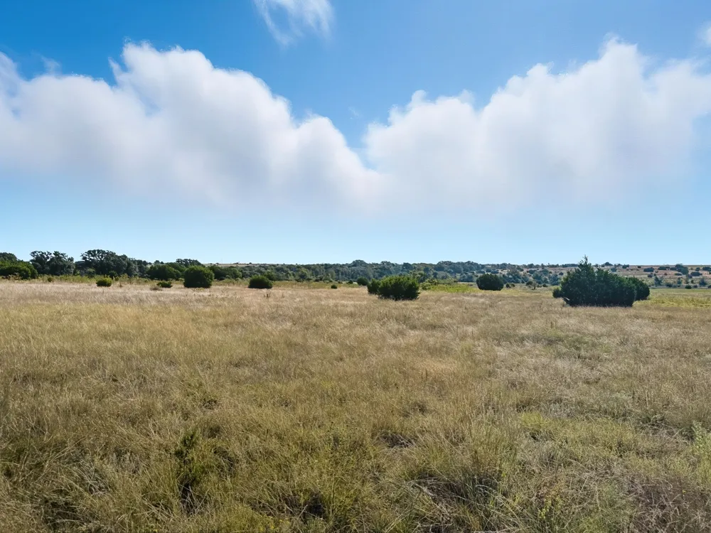 FM 221 Pottsville, TX 76565