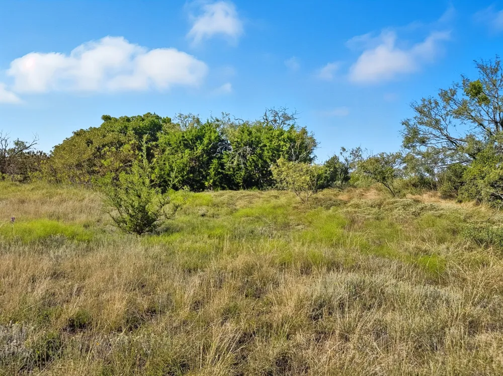 FM 221 Pottsville, TX 76565