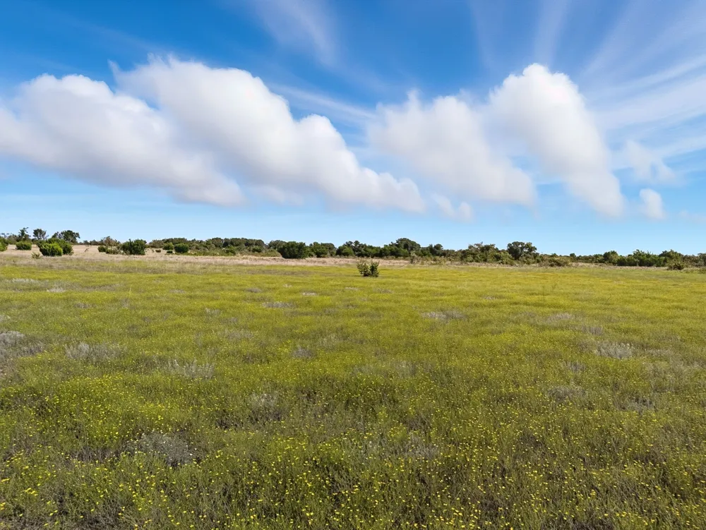 FM 221 Pottsville, TX 76565