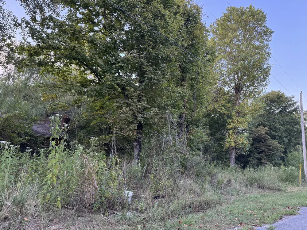 1339 Mount Herman Rd Southside, TN 37171