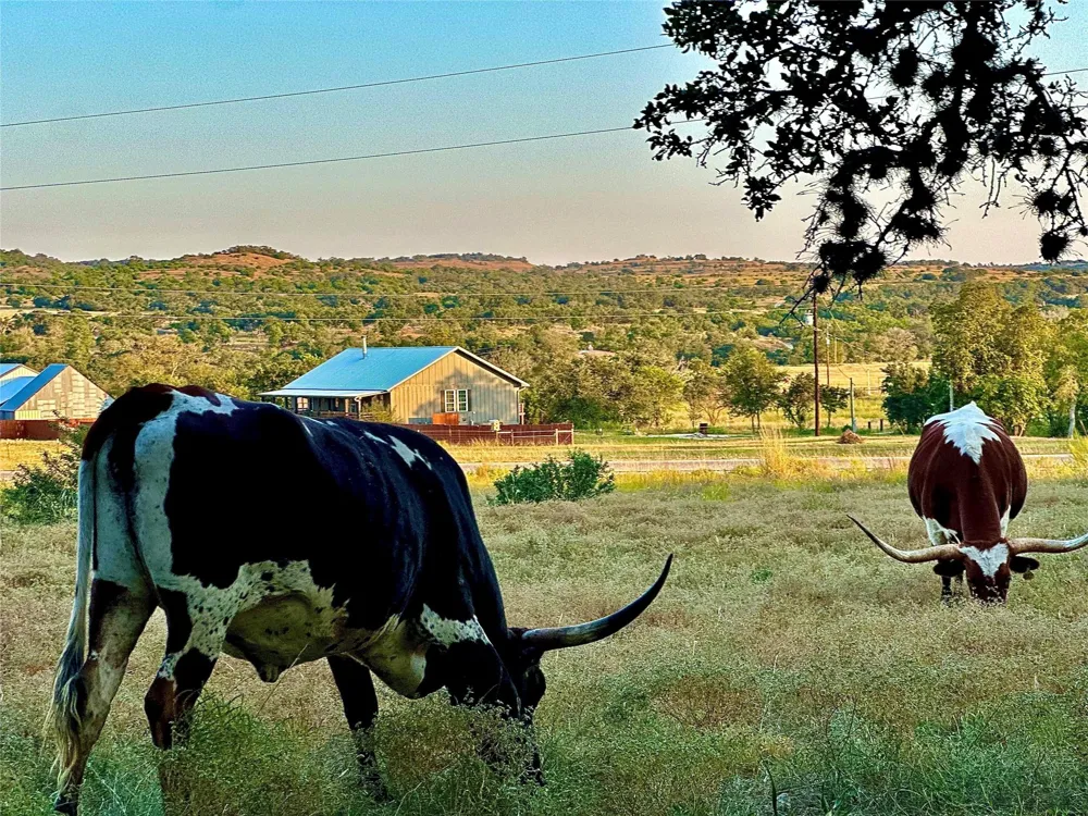 1200 Lipan Apache Run Blanco, TX 78606