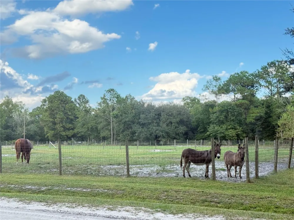4334 LORI LOOP ROAD Keystone Heights, FL 32656