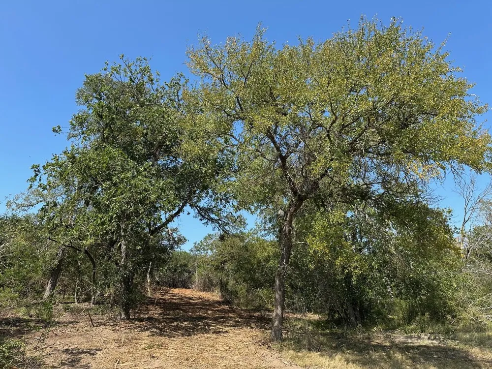 105 Winding River Road Kempner, TX 76539