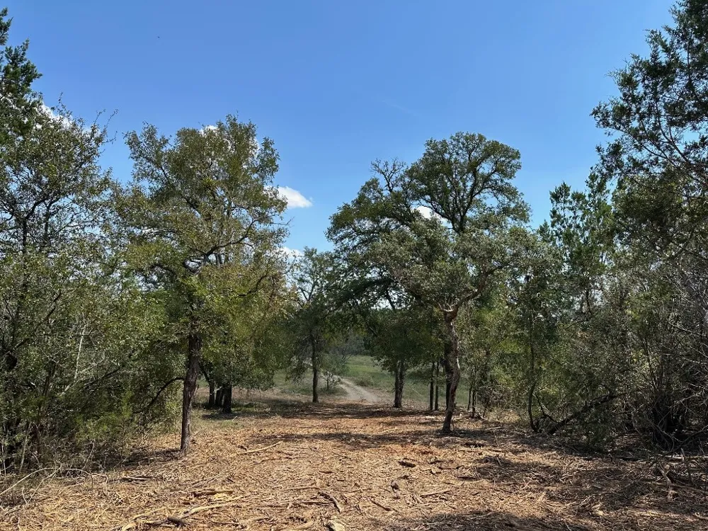 105 Winding River Road Kempner, TX 76539