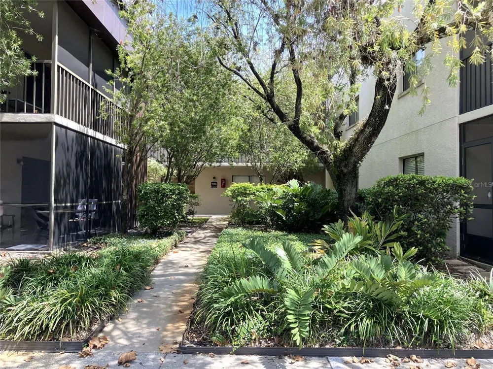 11703 RAINTREE VILLAGE BOULEVARD #B Temple Terrace, FL 33617