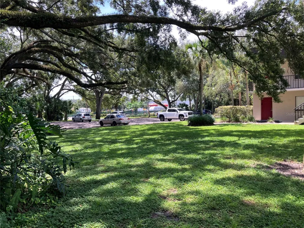 11703 RAINTREE VILLAGE BOULEVARD #B Temple Terrace, FL 33617