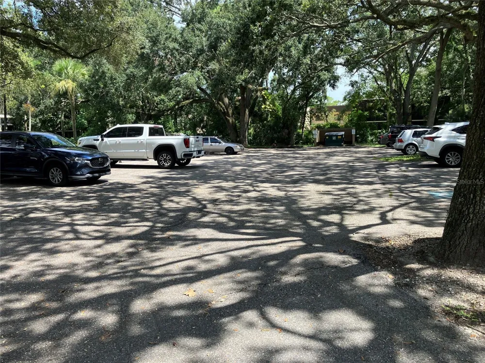 11703 RAINTREE VILLAGE BOULEVARD #B Temple Terrace, FL 33617