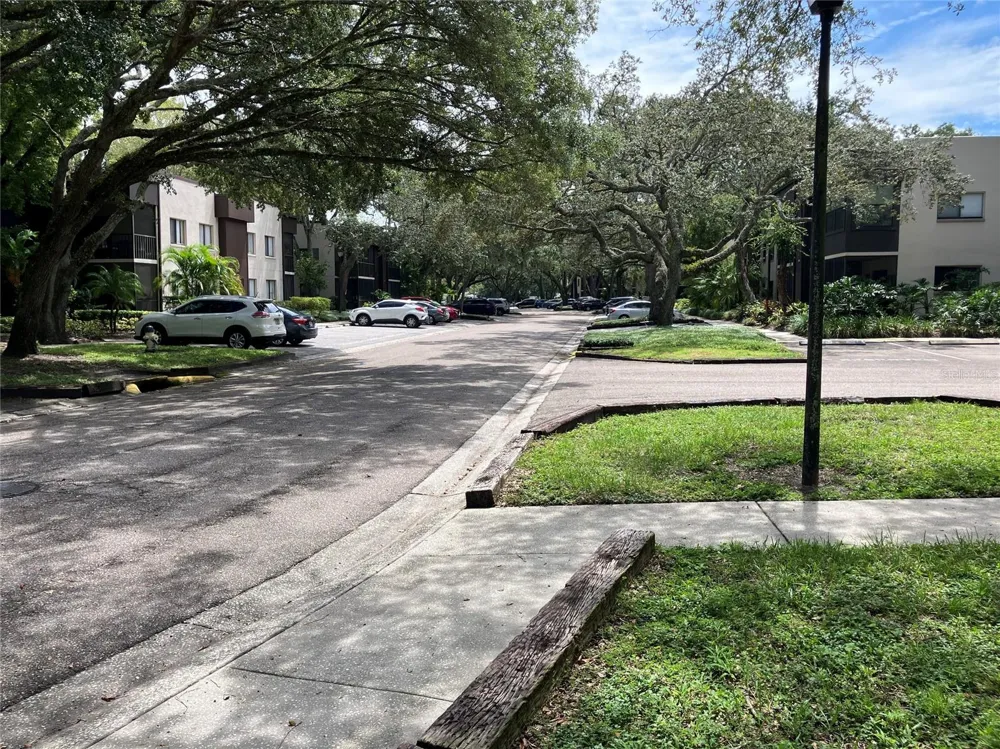 11703 RAINTREE VILLAGE BOULEVARD #B Temple Terrace, FL 33617