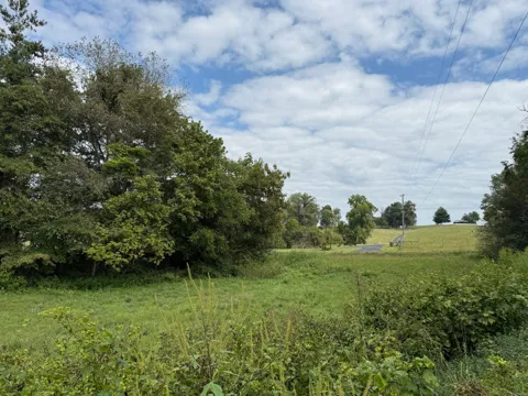 1 County House Rd