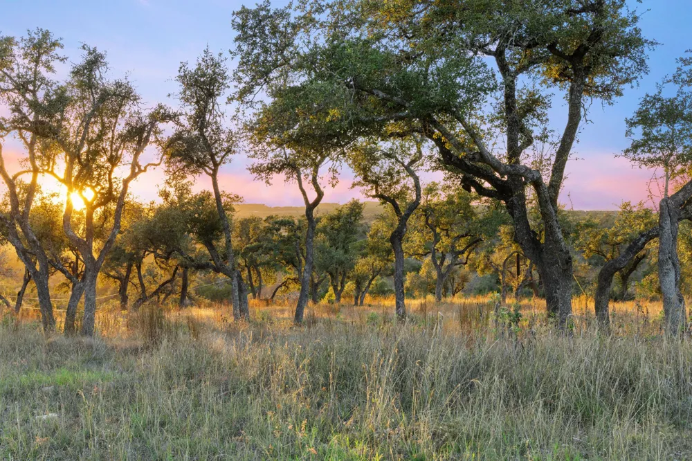 18429 Moreh Peak Pass Austin, TX 78738