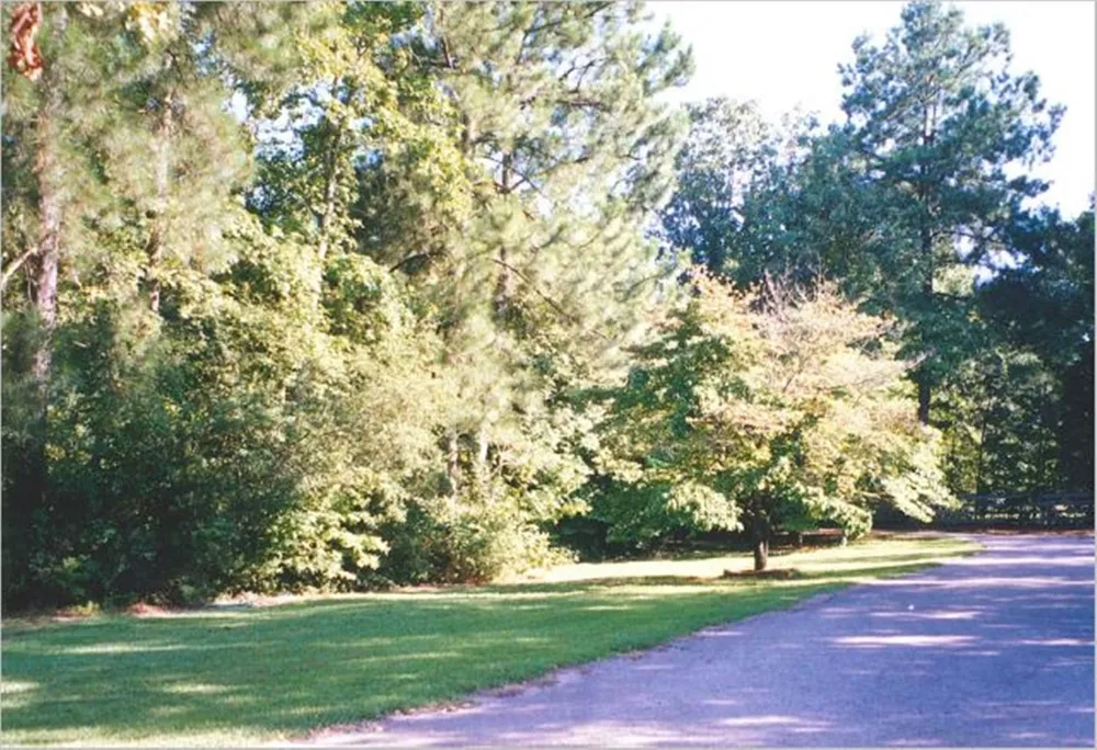 2900 S Robertson Avenue Tyler, TX 75701