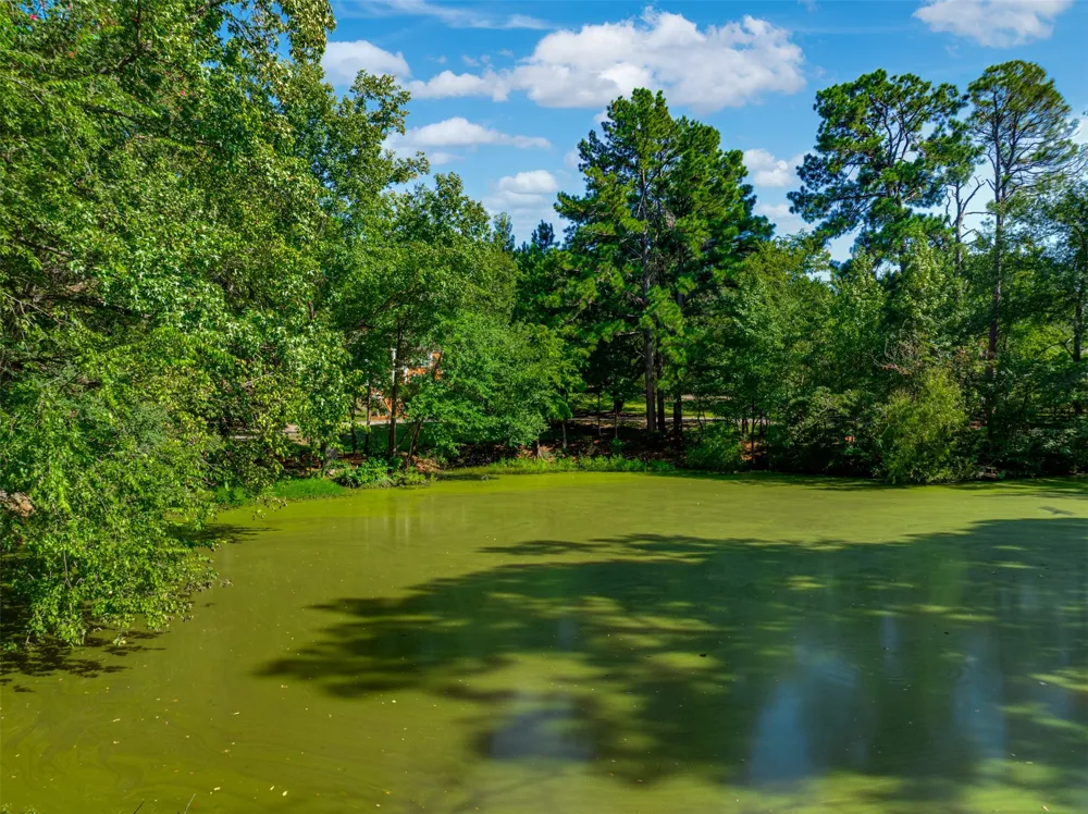 2900 S Robertson Avenue Tyler, TX 75701