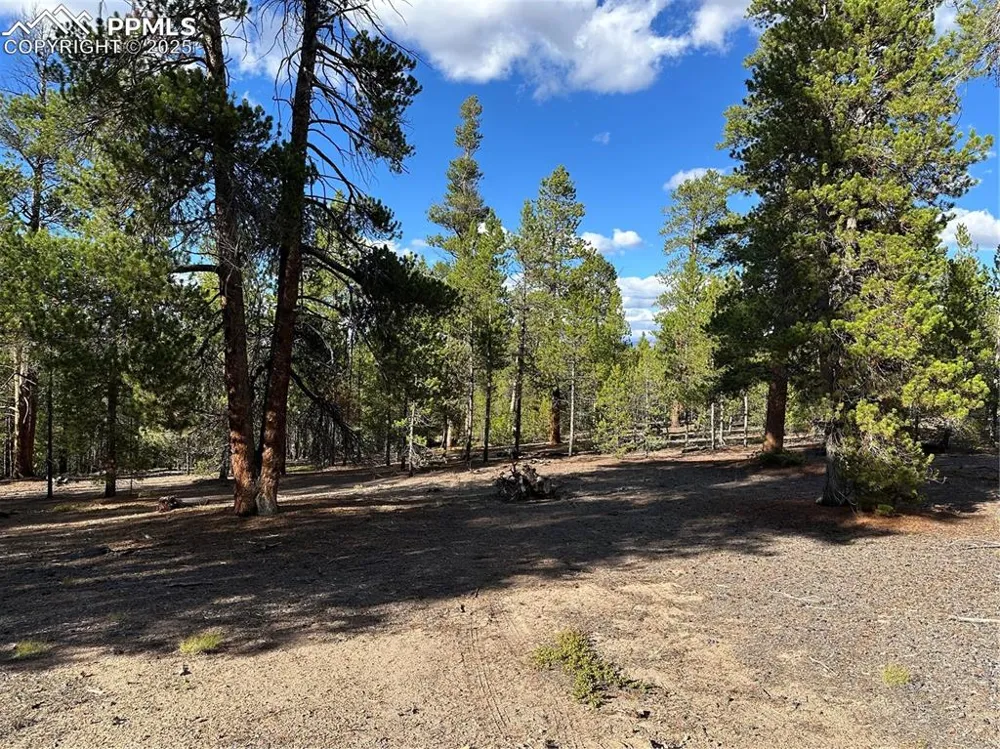 143 Fir Drive Leadville, CO 80461