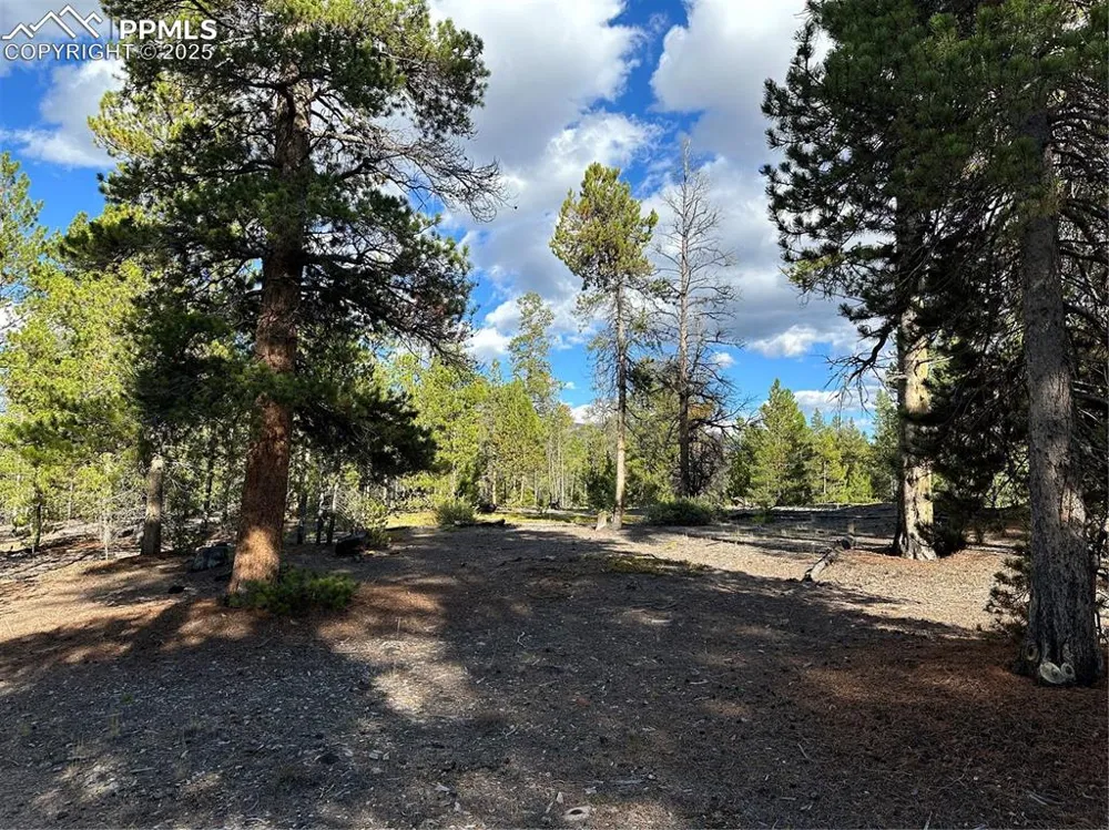 143 Fir Drive Leadville, CO 80461