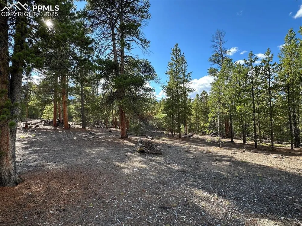 143 Fir Drive Leadville, CO 80461