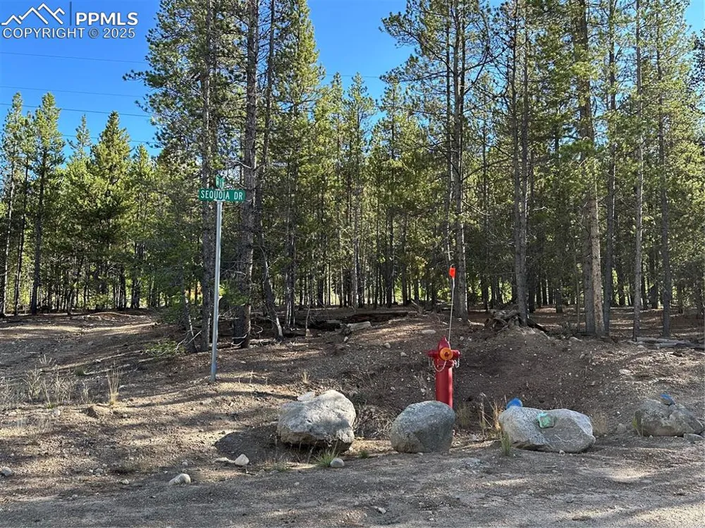143 Fir Drive Leadville, CO 80461