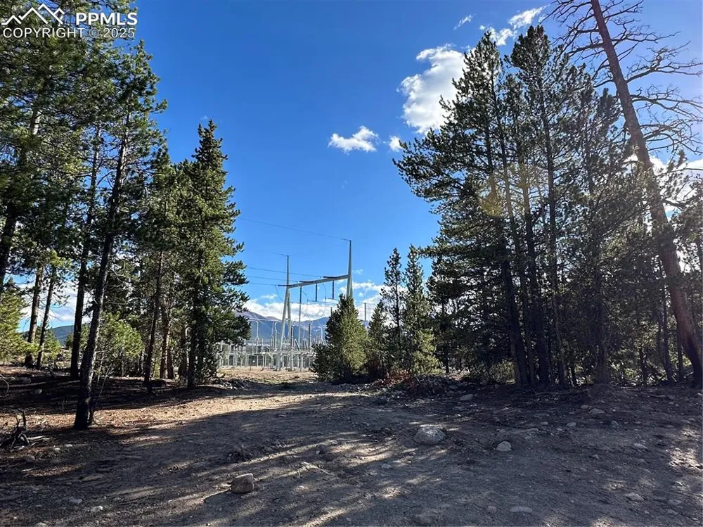 143 Fir Drive Leadville, CO 80461